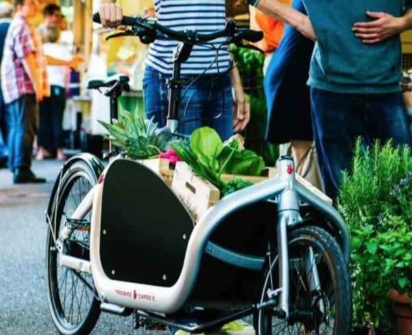 triobike-cargo-beebike-delivery