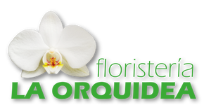 logo orquidea